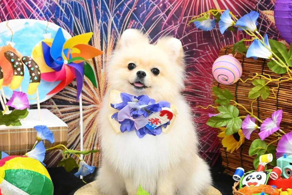 ブログ