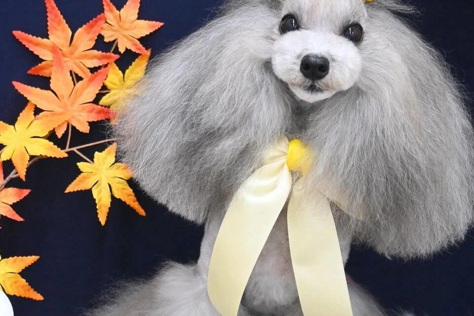 ブログ