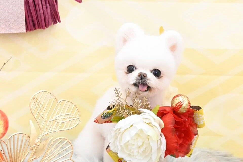 ブログ