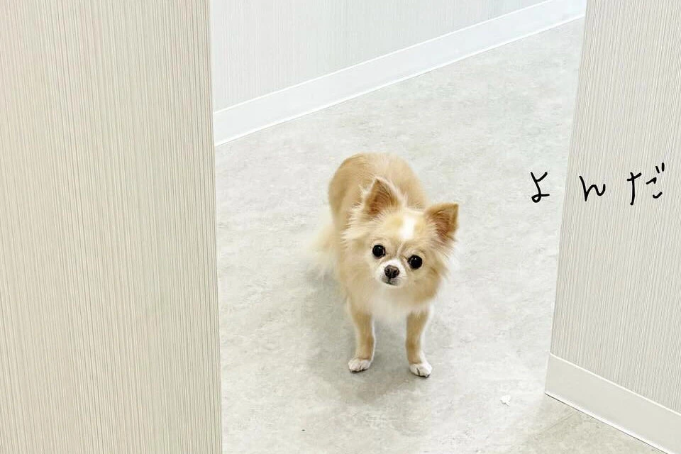 ブログ