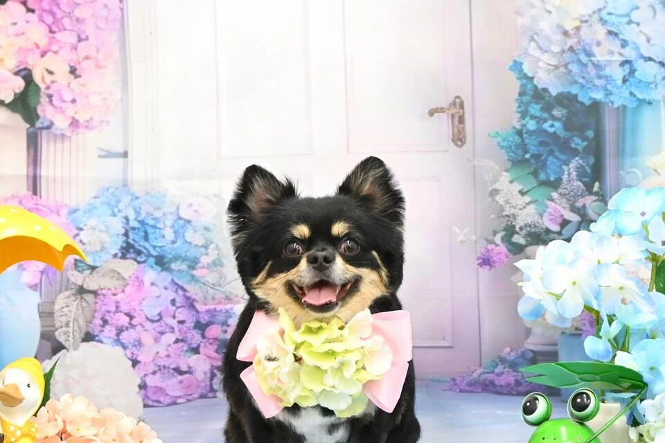ブログ
