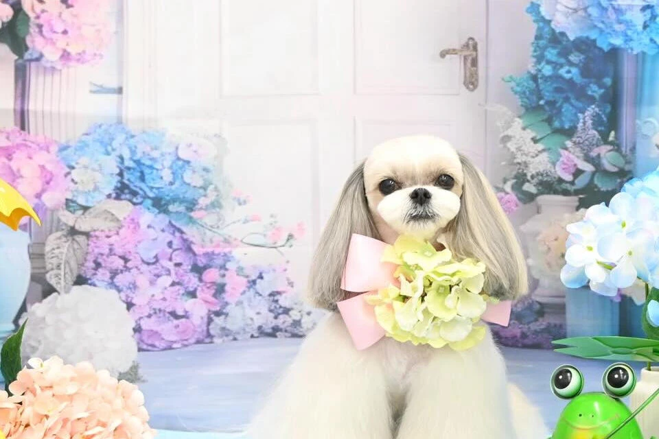 ブログ