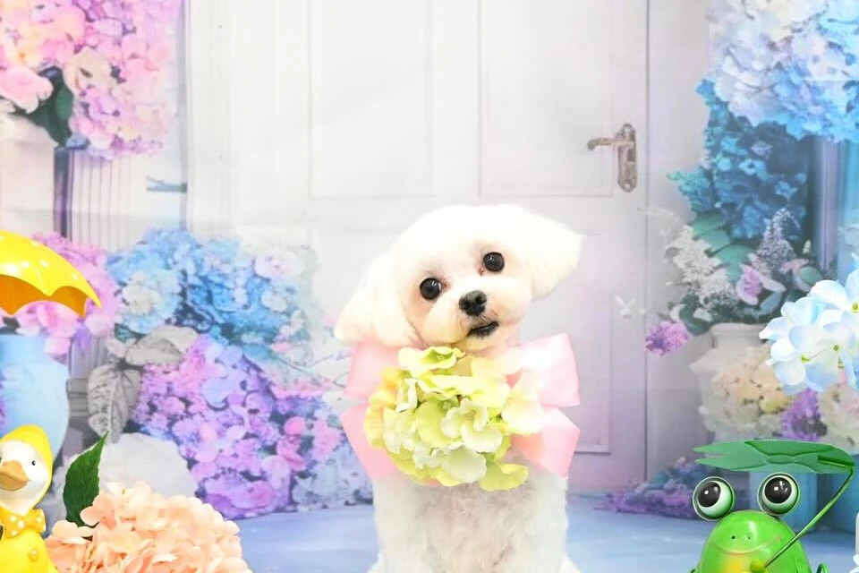 ブログ