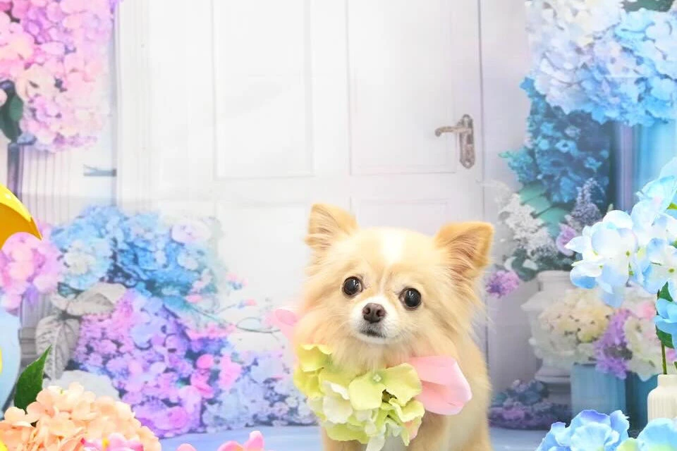 ブログ