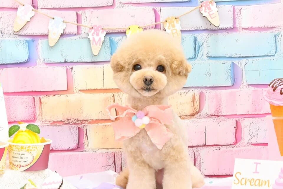 ブログ