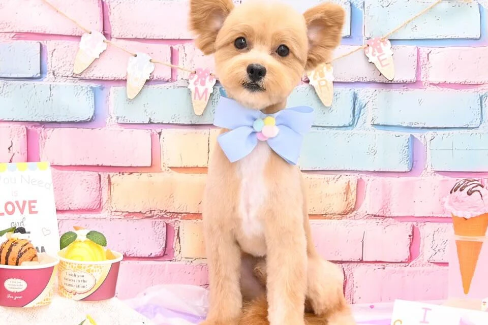 ブログ