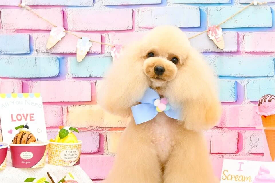 ブログ