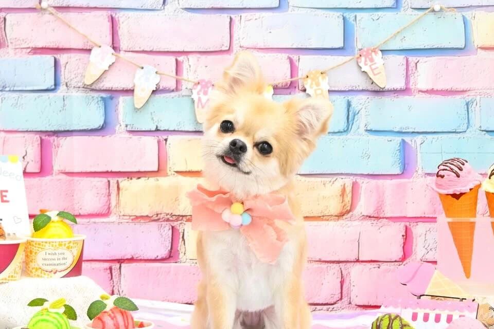ブログ