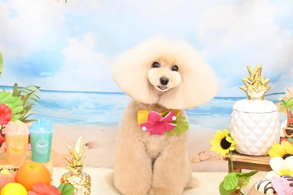 ブログ